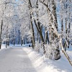 canstockphoto9092797