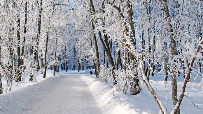 canstockphoto9092797